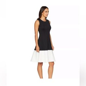 Calvin Klein Black and White Dress with Flared Skirt